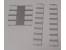 Nortel T7316 Plastic Overlay